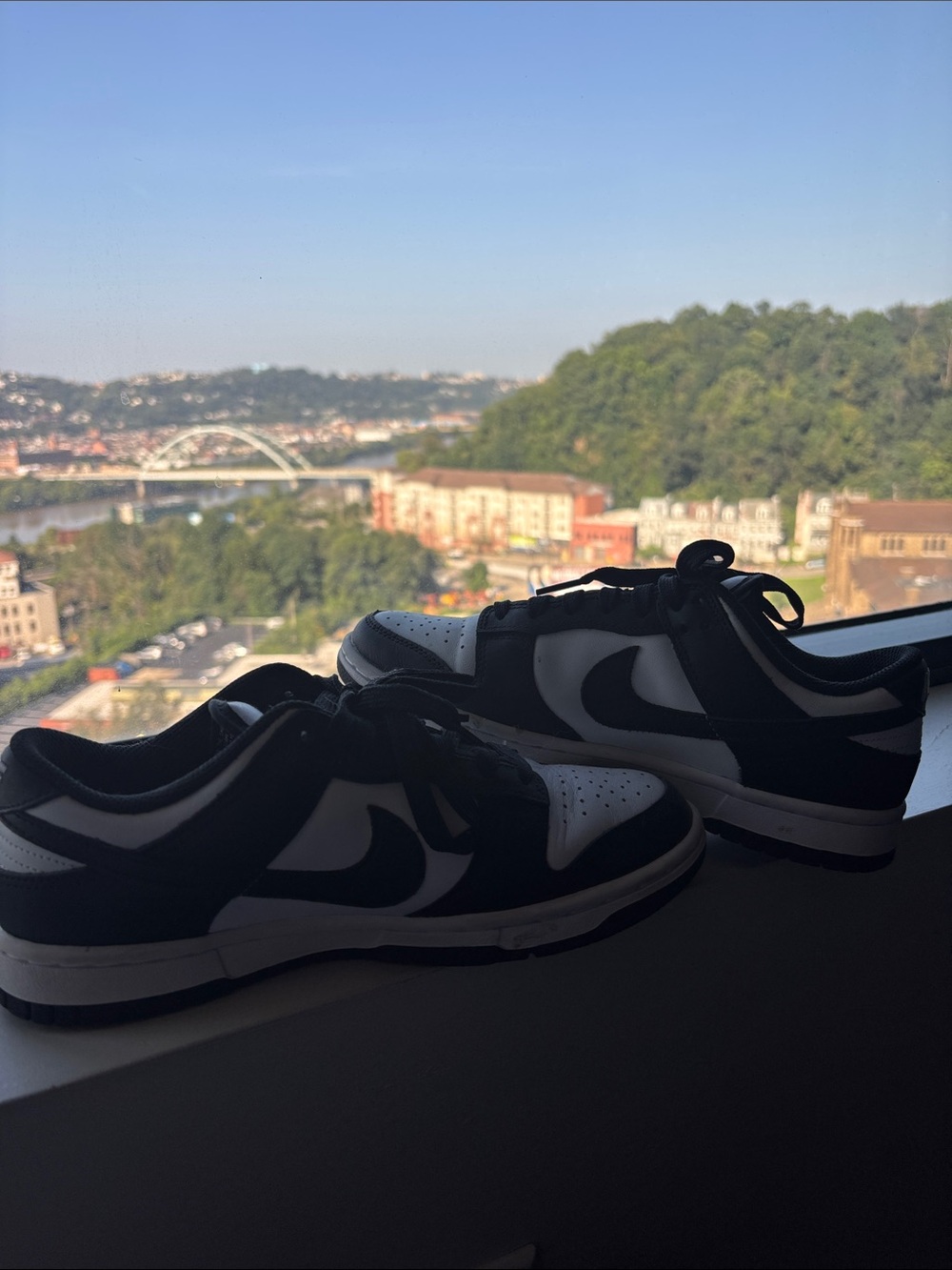 Nike Black and White Low-Top Skate Sneakers